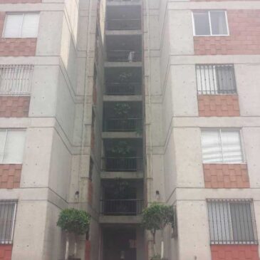 Renta de Departamento, Desierto de los Leones