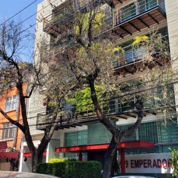 Renta de Departamento Tipo Penthouse, Portales